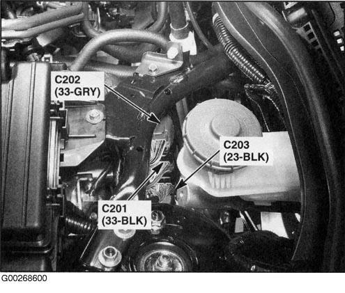 G00268600