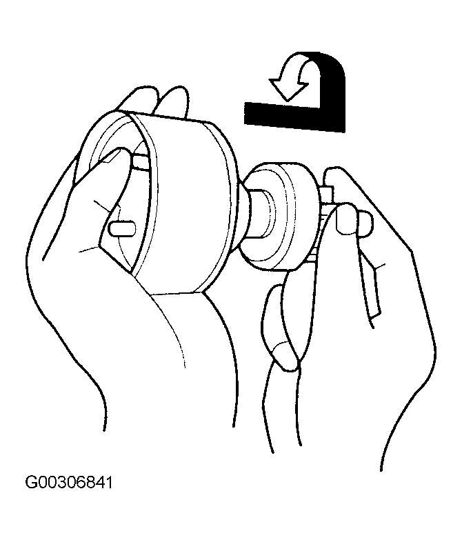 G00306841