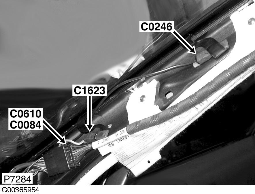 G00365954