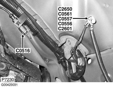 G00423031