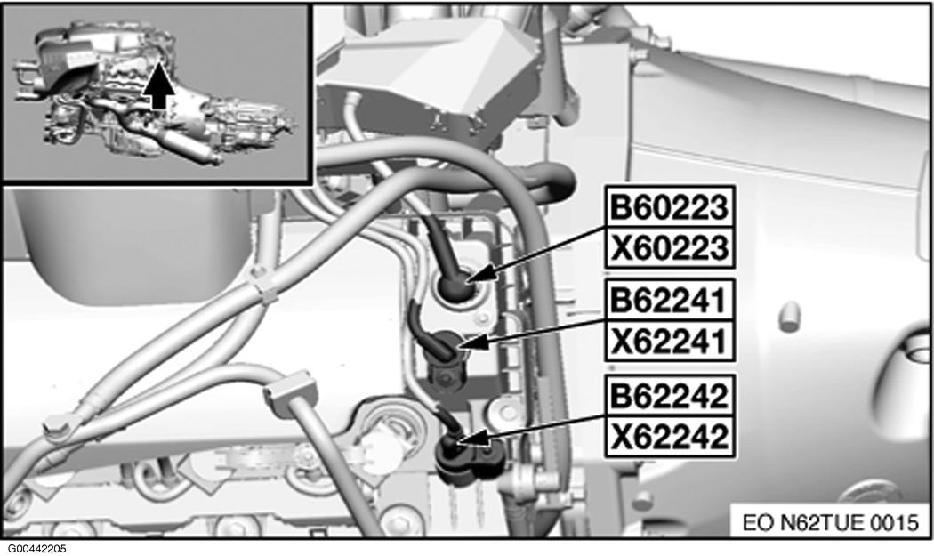 G00442205
