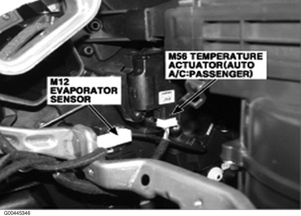 G00445346