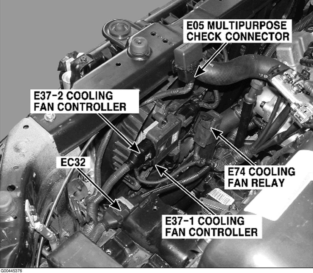 G00445376