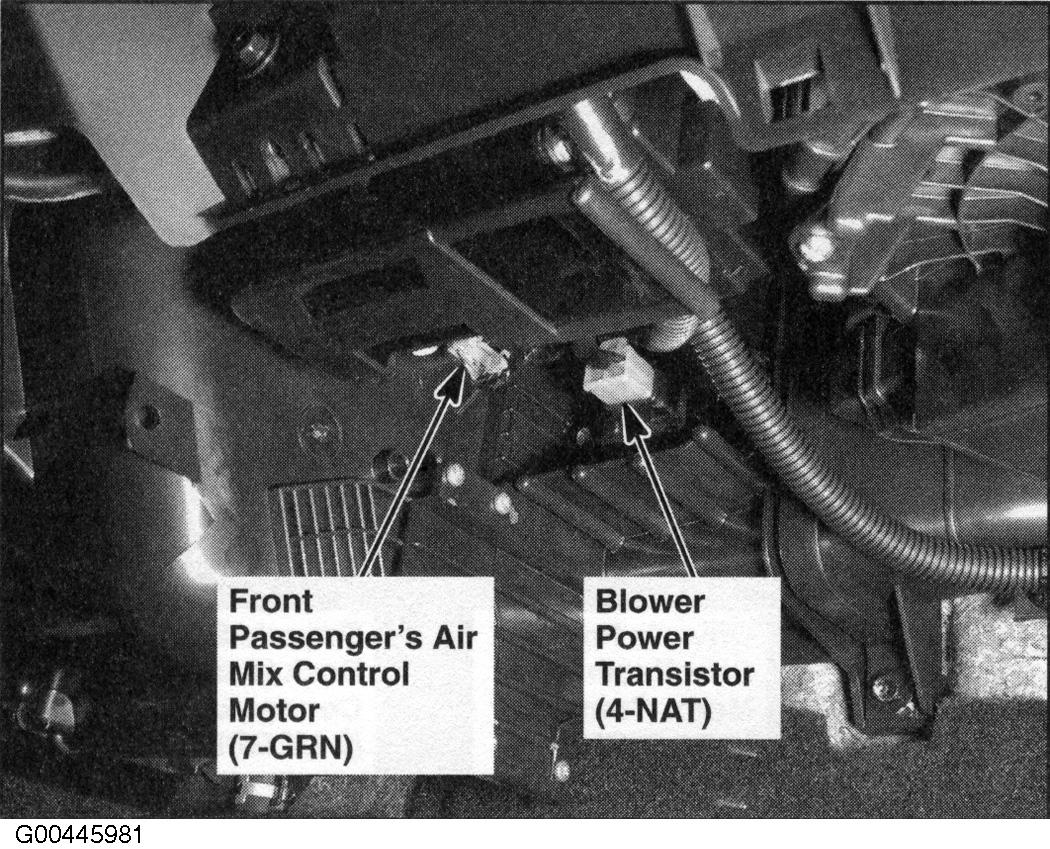 G00445981