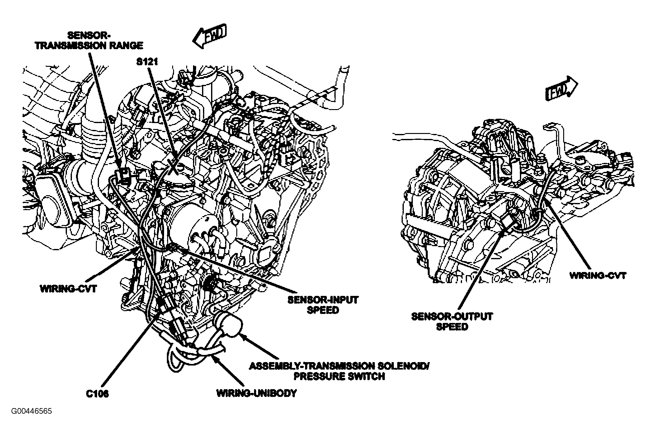 G00446565