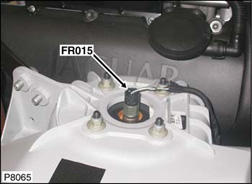 G00454506