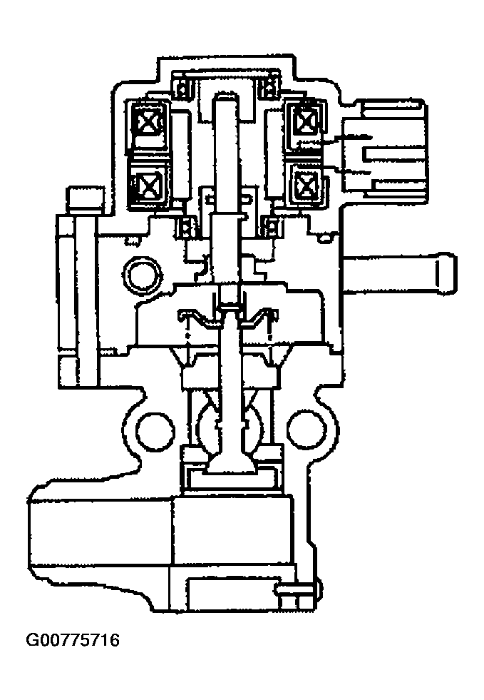 G00775716