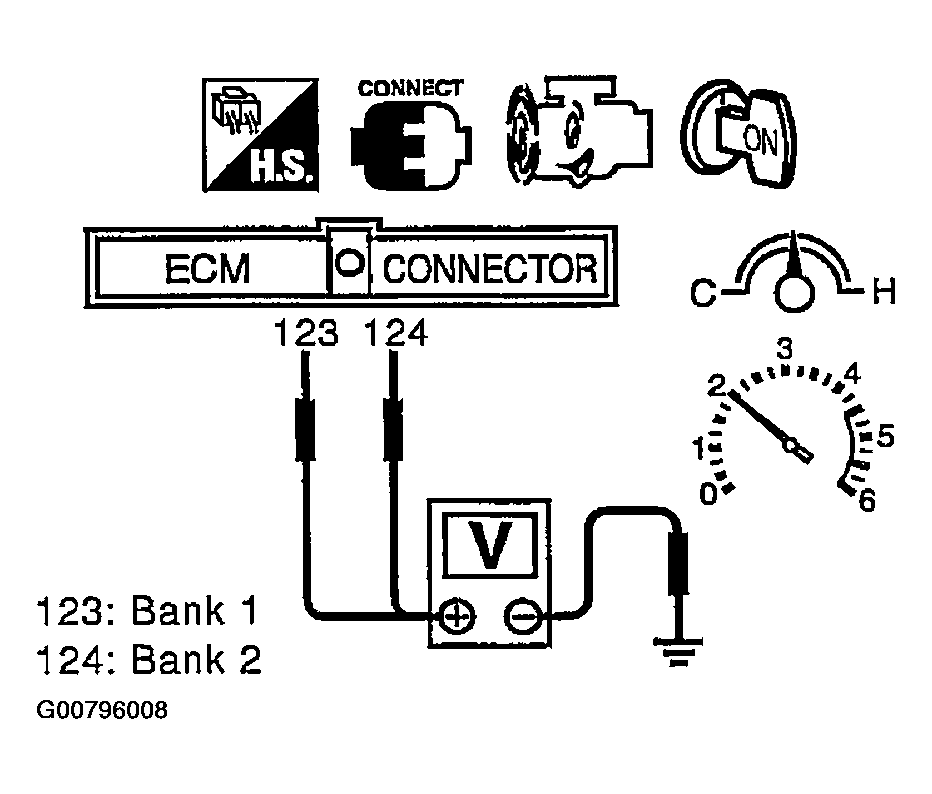 G00796008