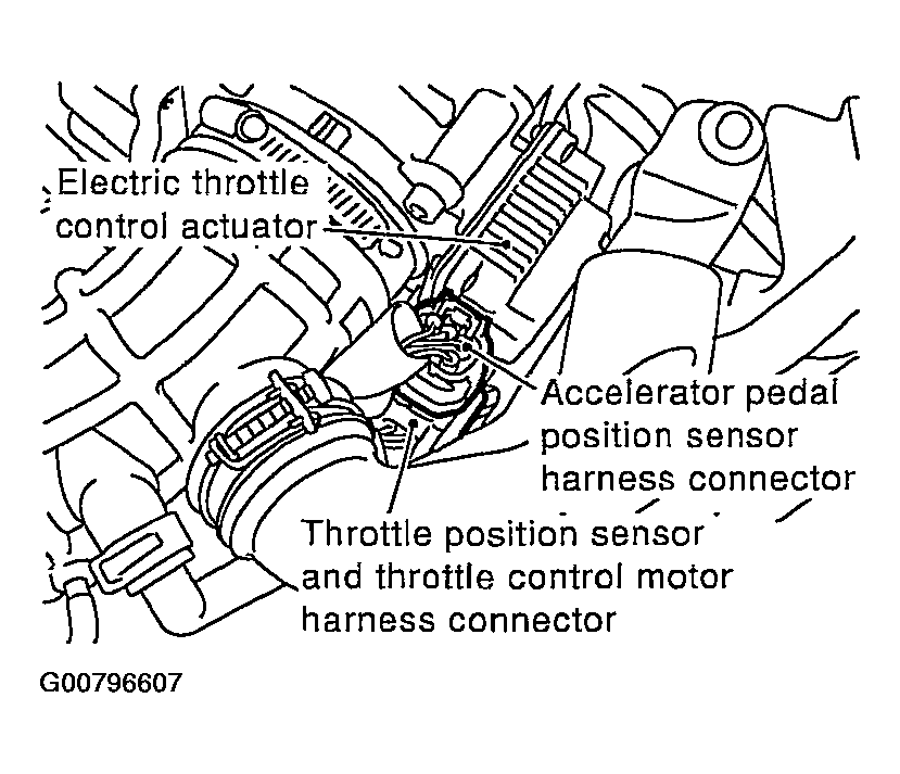 G00796607