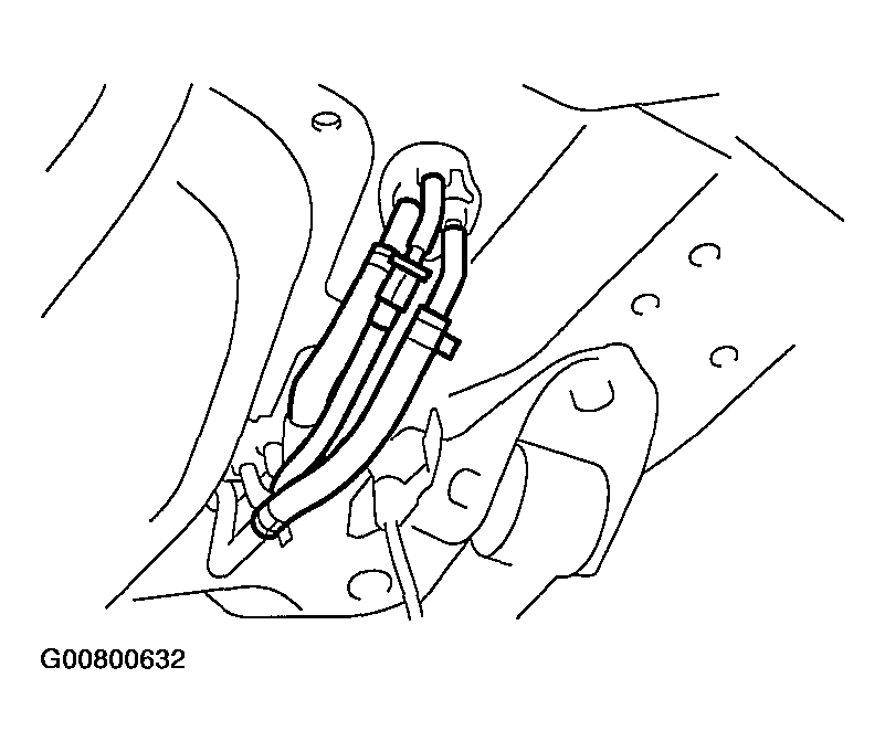 G00800632