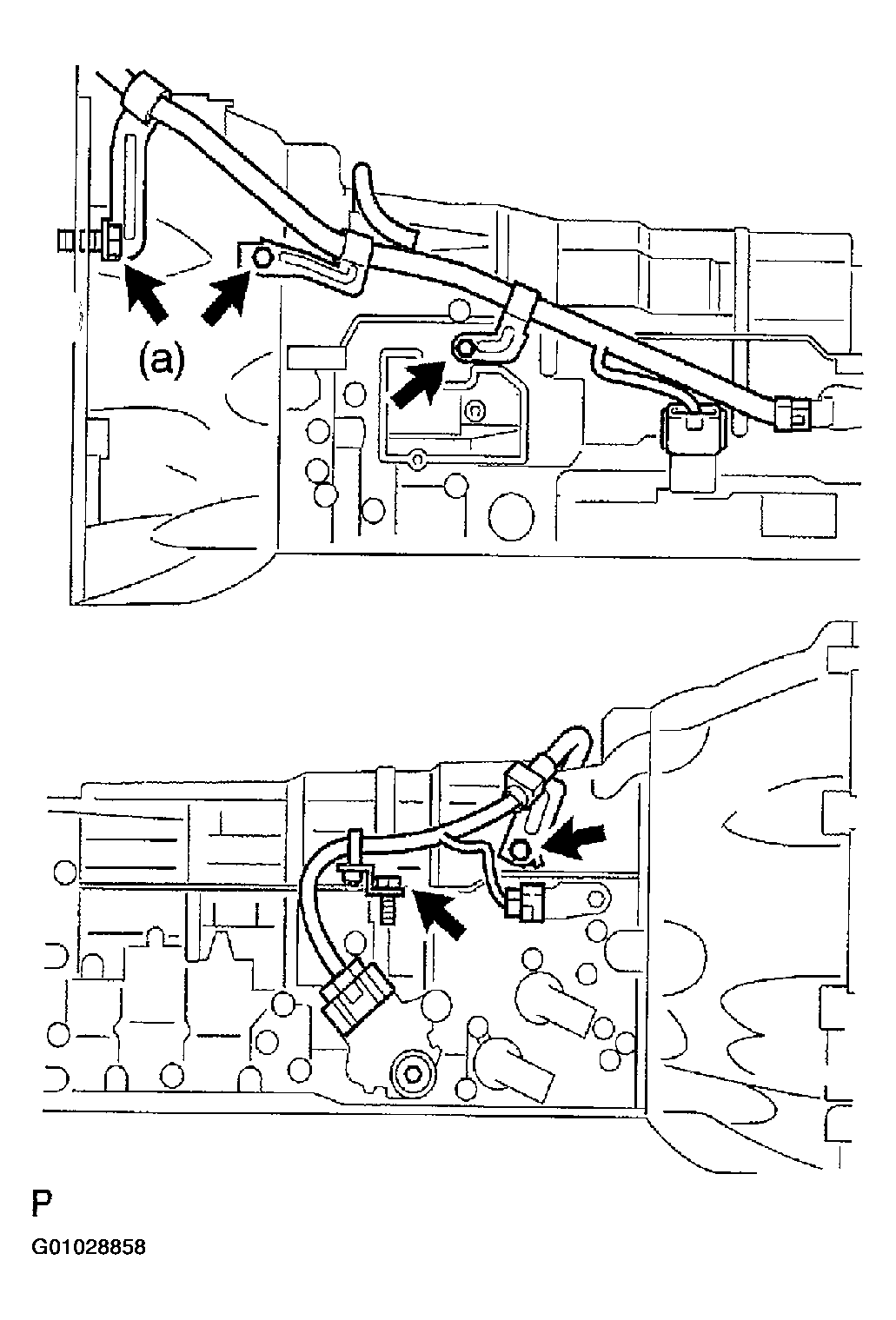 G01028858