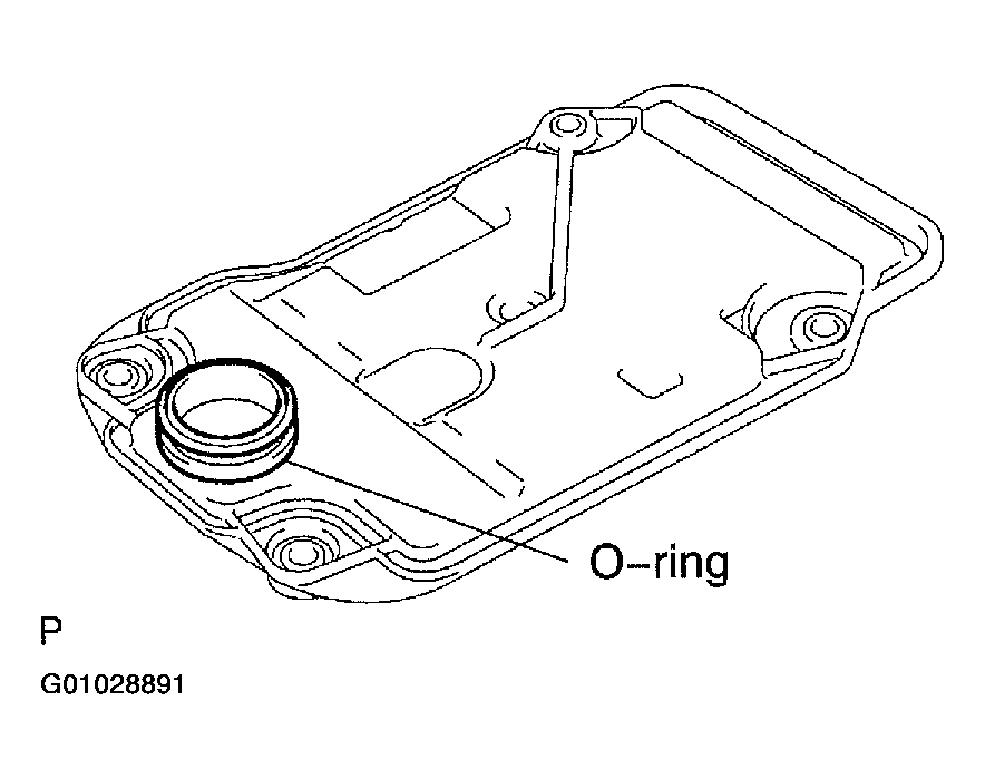 G01028891