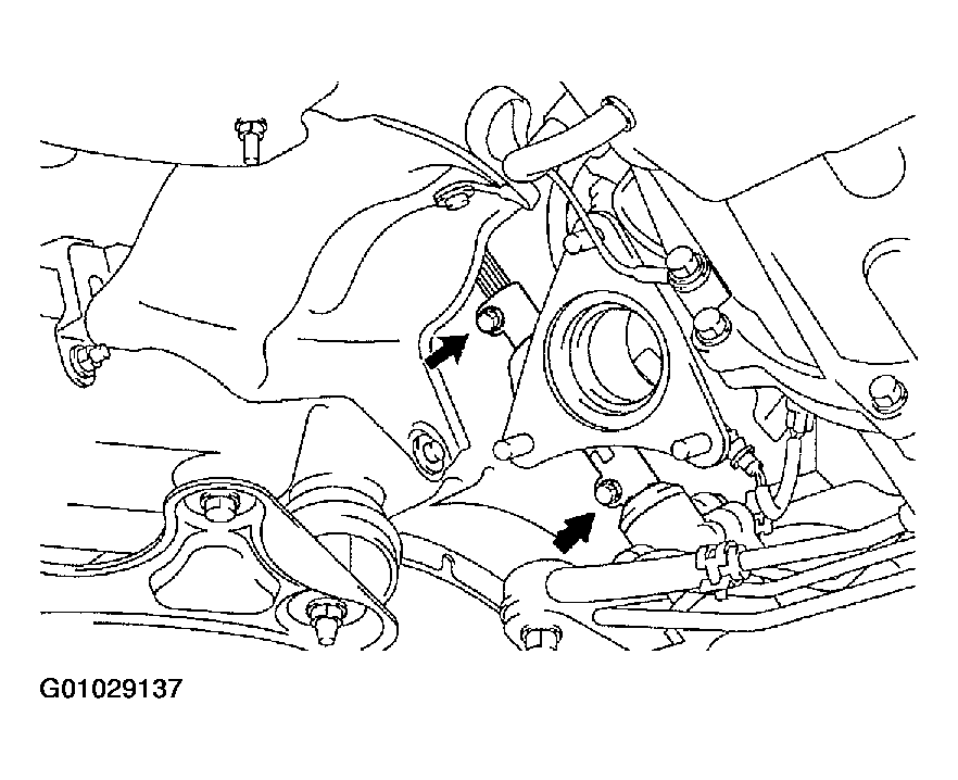 G01029137