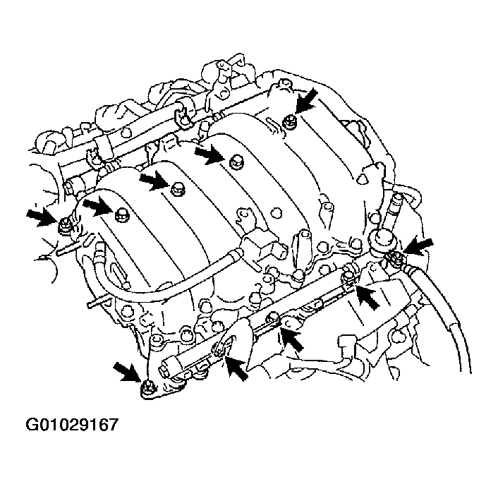 G01029167