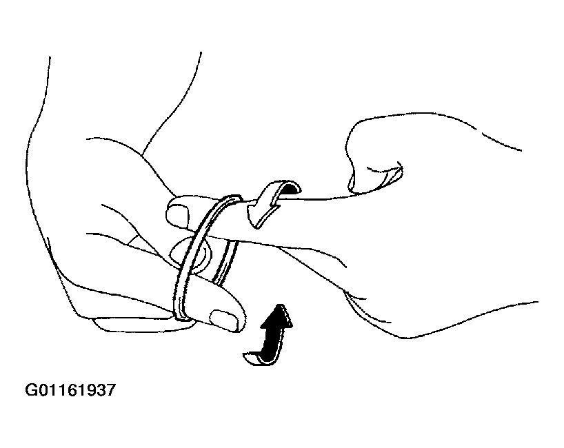 G01161937
