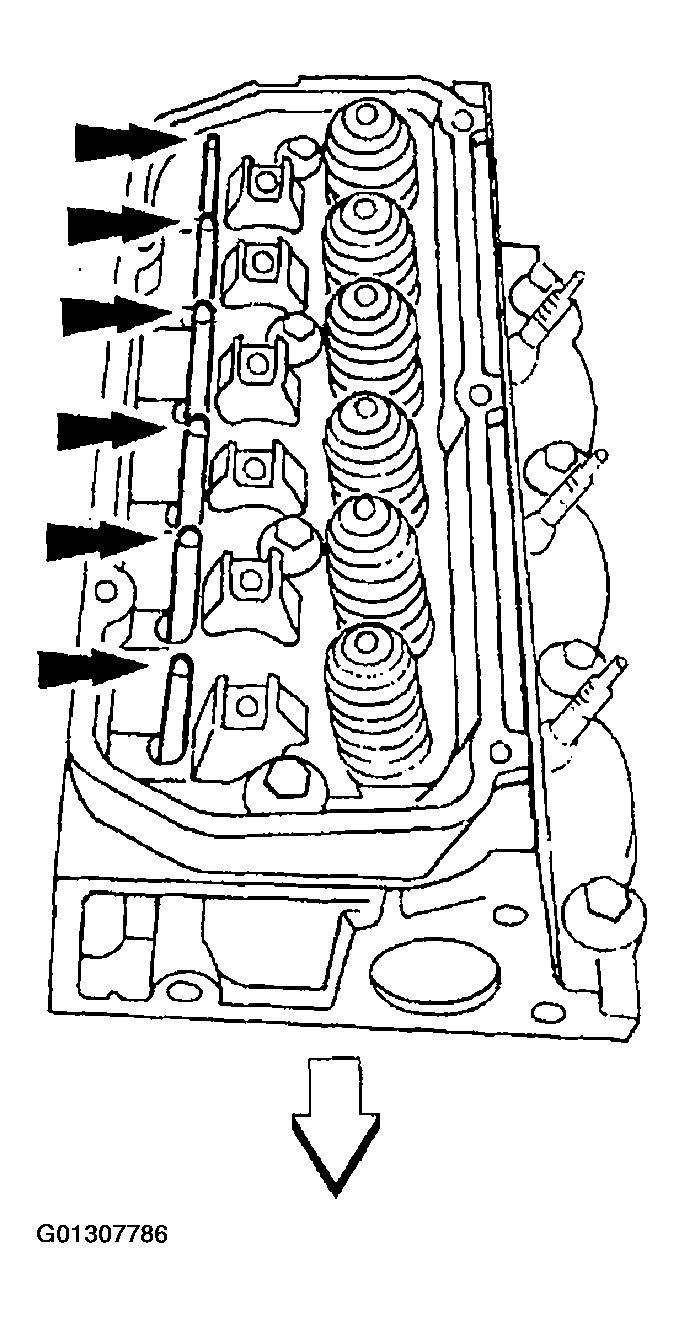 G01307786