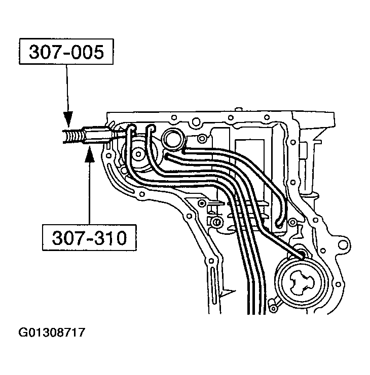 G01308717