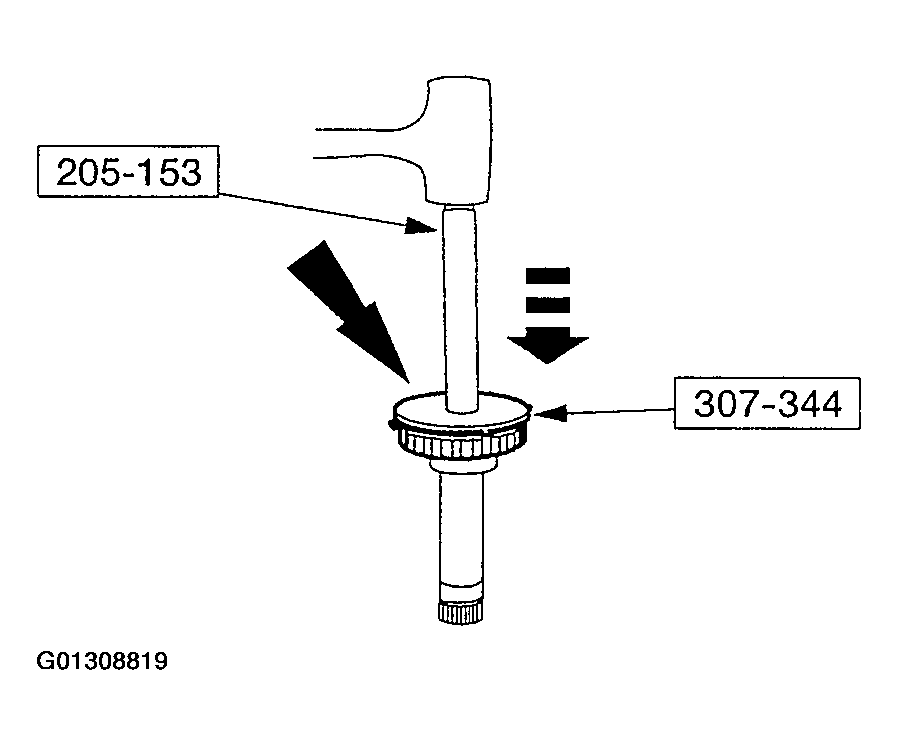 G01308819