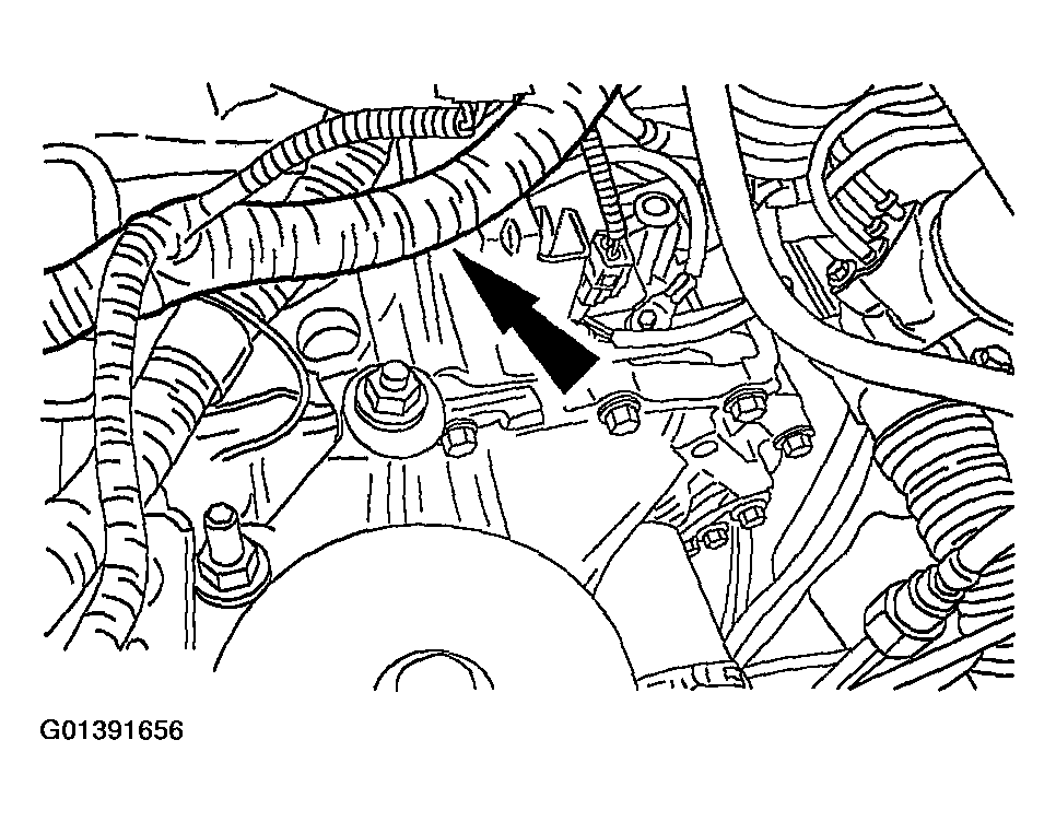 G01391656