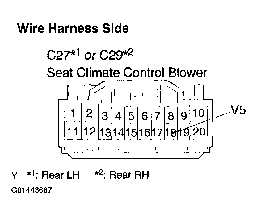 G01443667