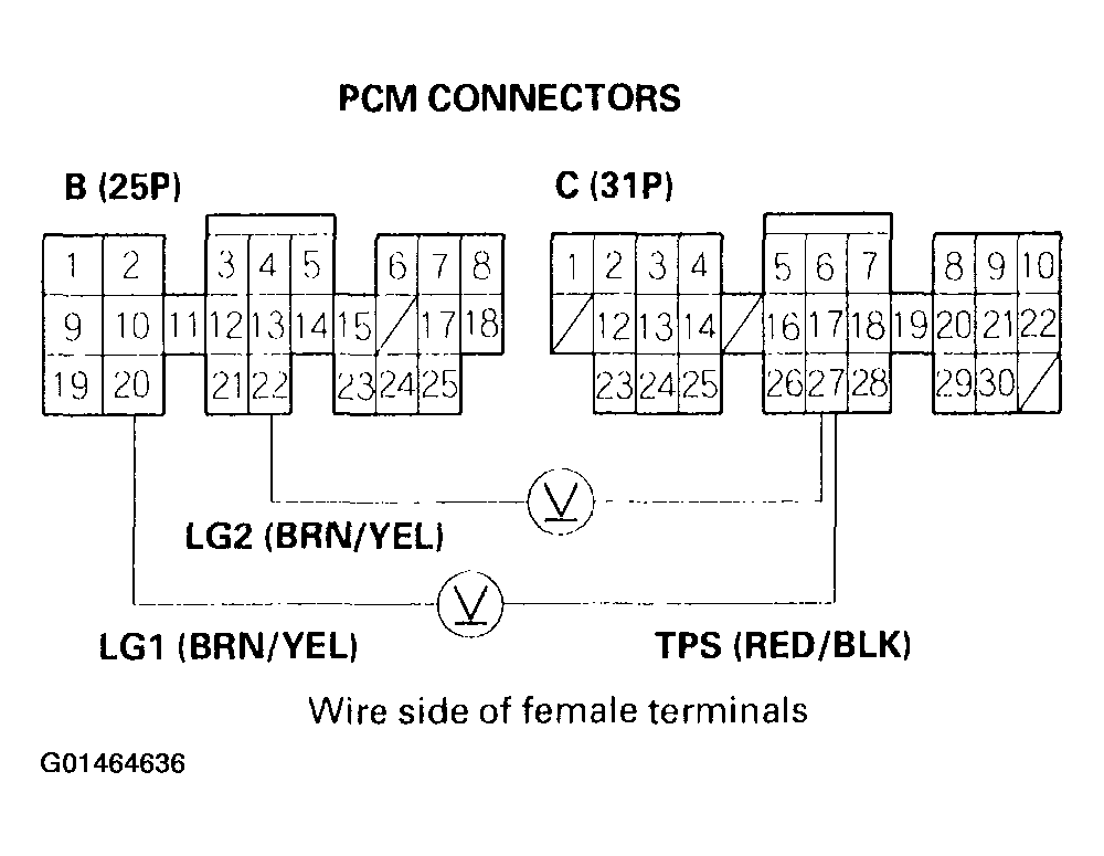 G01464636