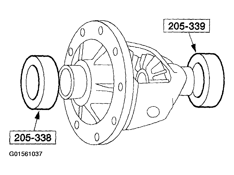 G01561037