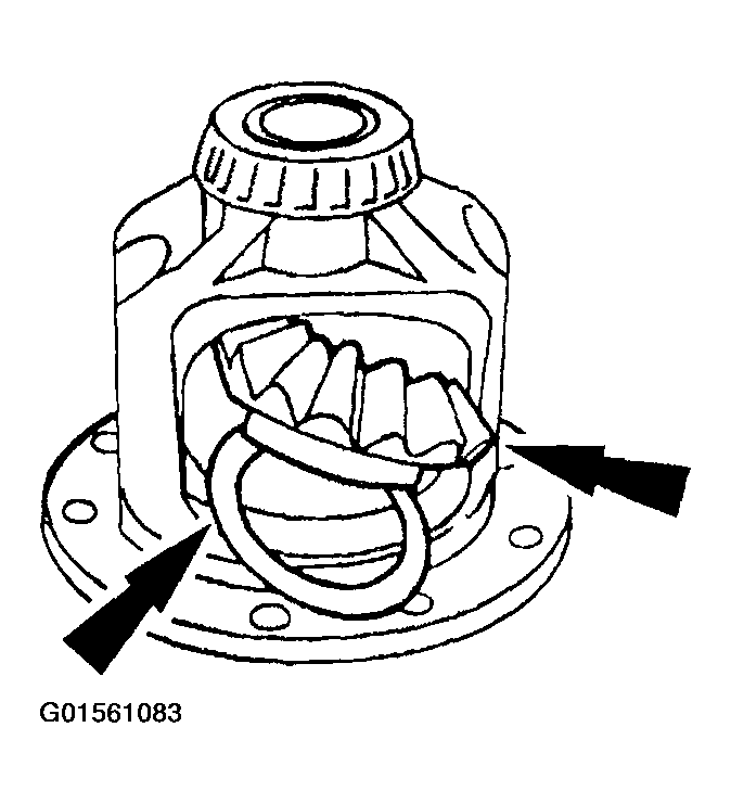 G01561083