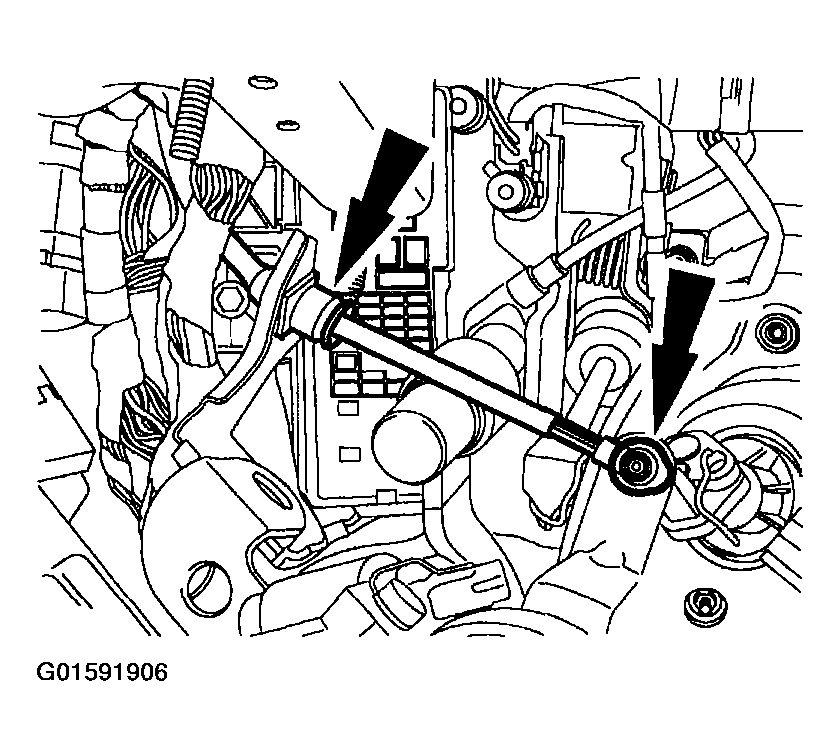 G01591906