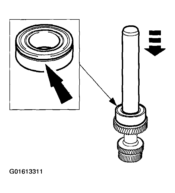 G01613311