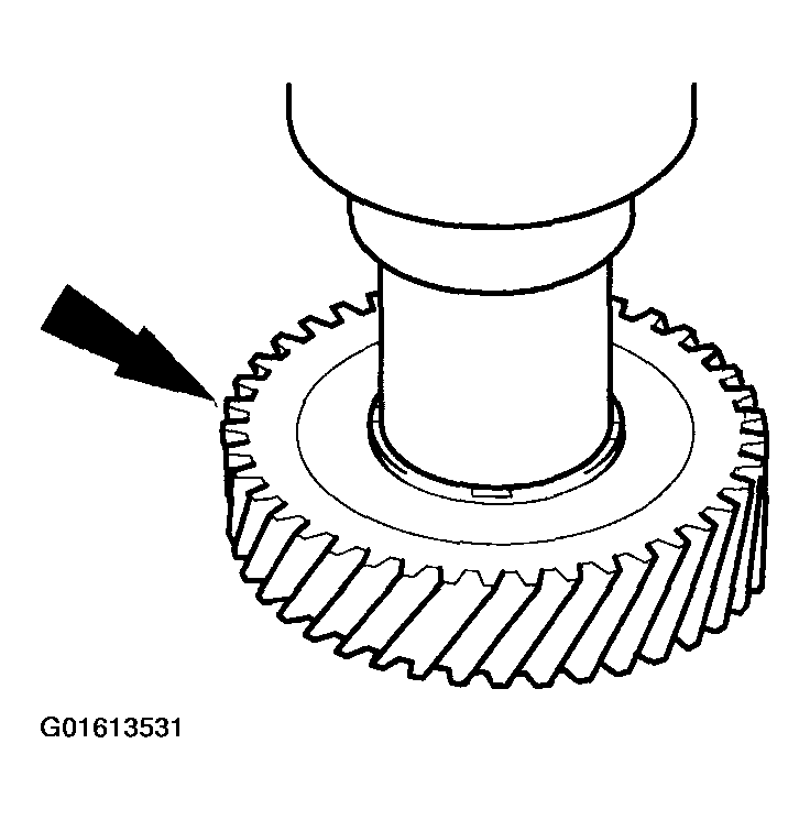 G01613531