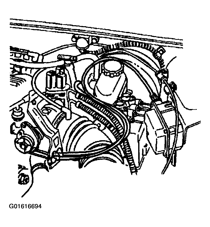 G01616694