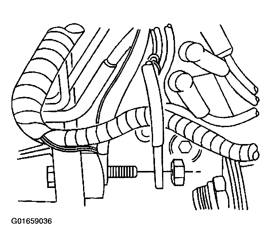 G01659036
