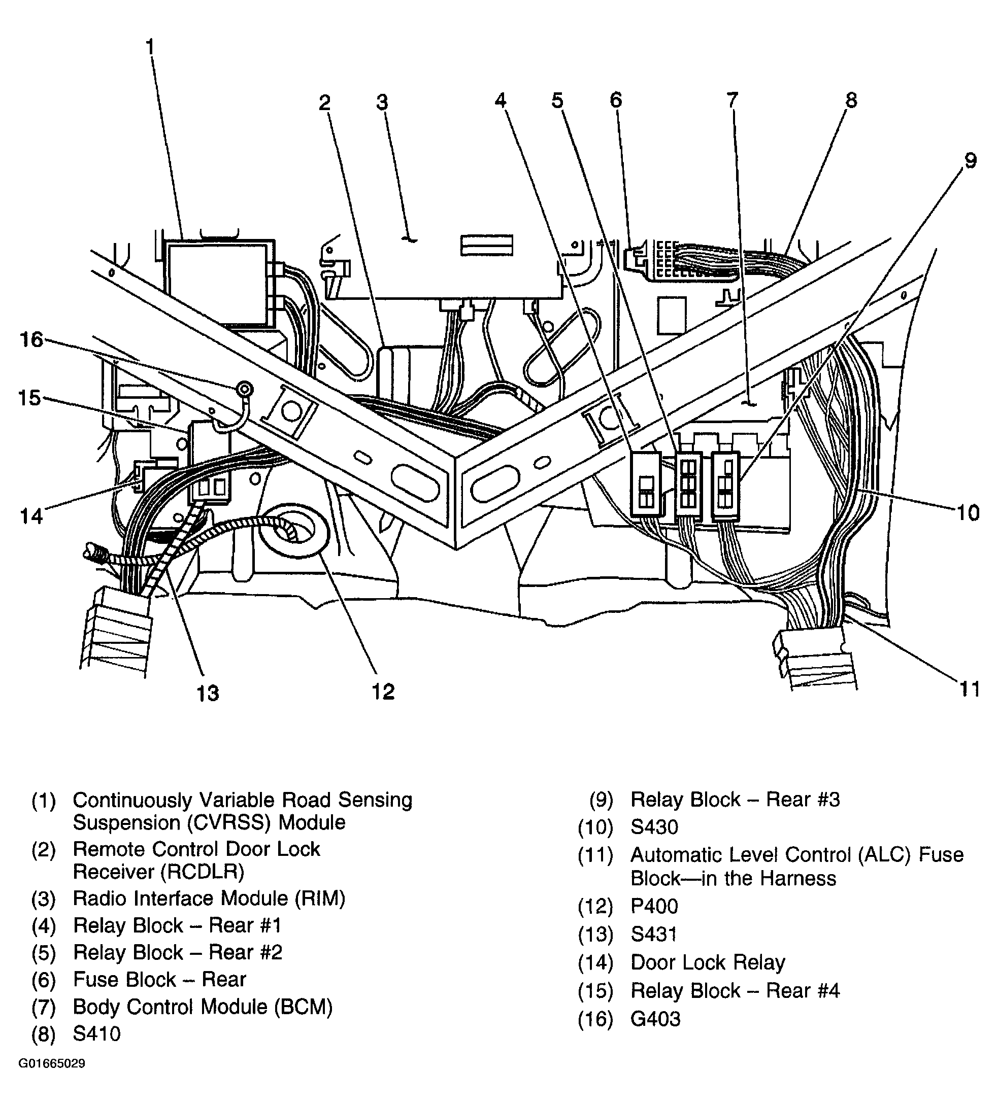 G01665029