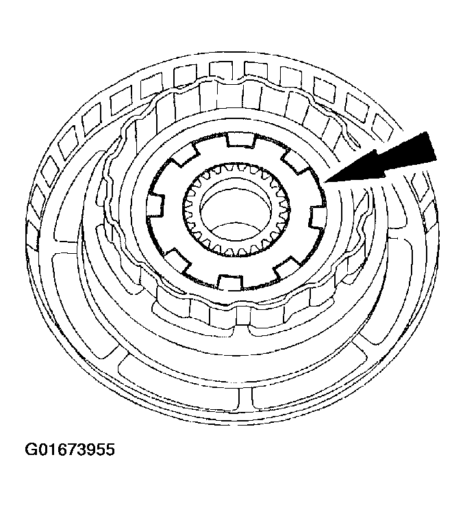 G01673955