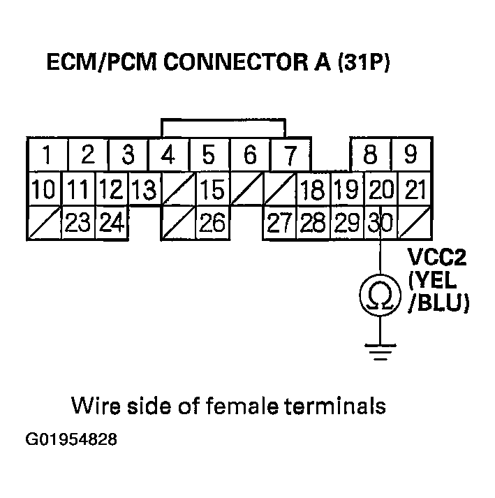 G01954828