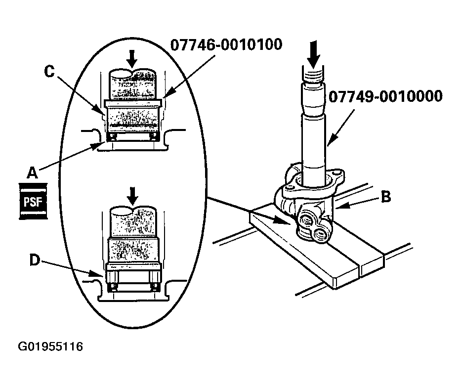 G01955116