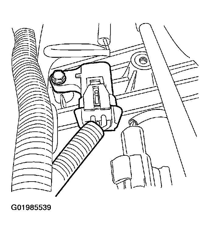 G01985539