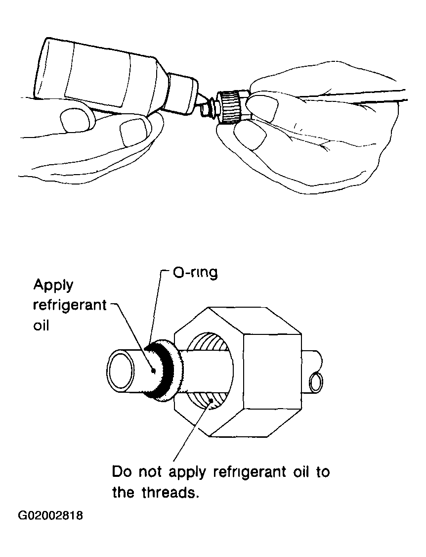 G02002818