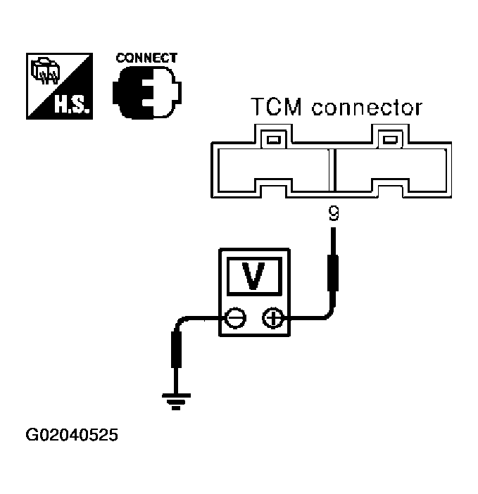 G02040525