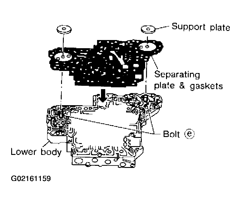 G02161159