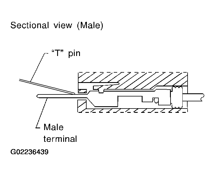 G02236439