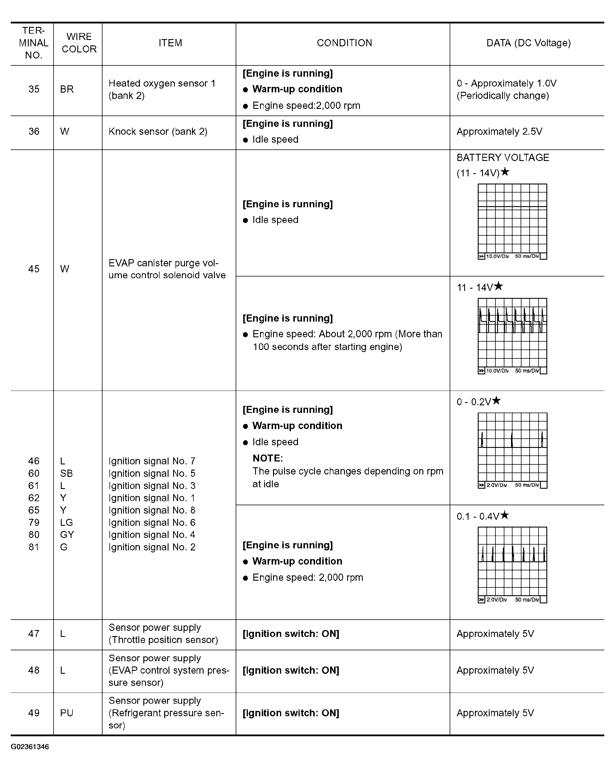 G02361346
