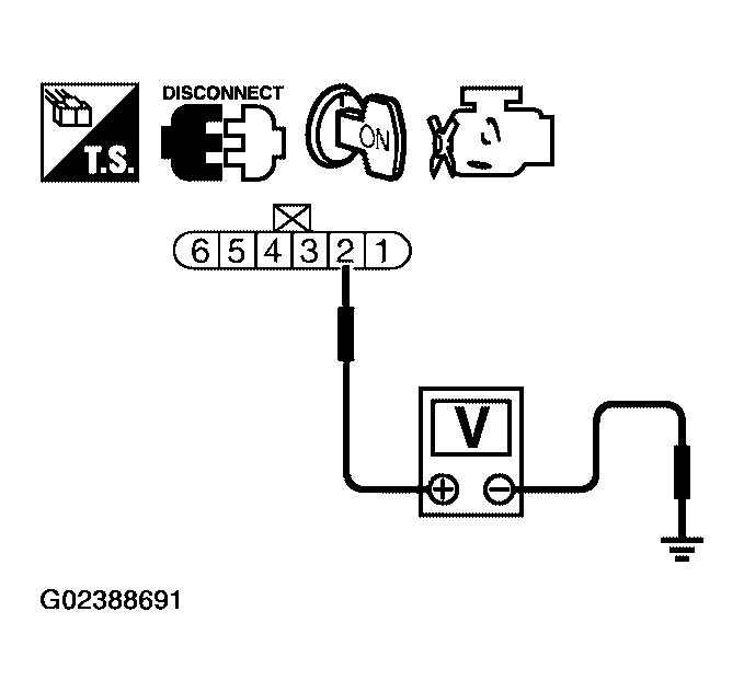 G02388691