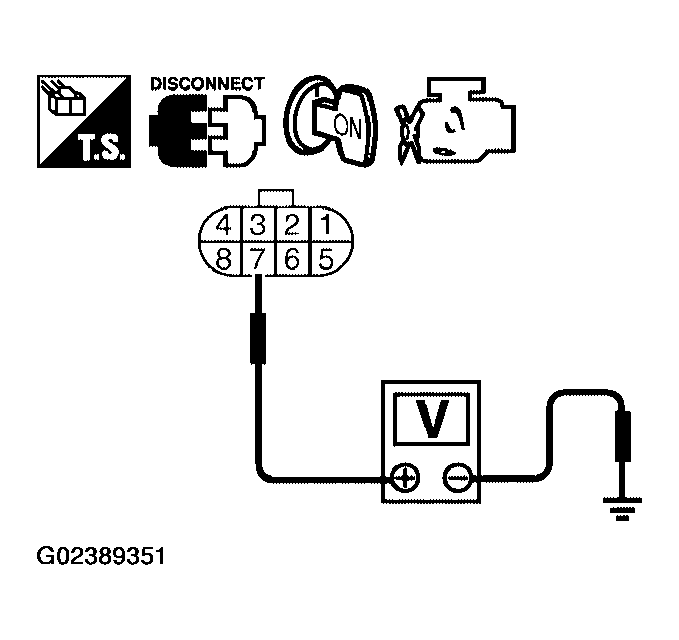 G02389351
