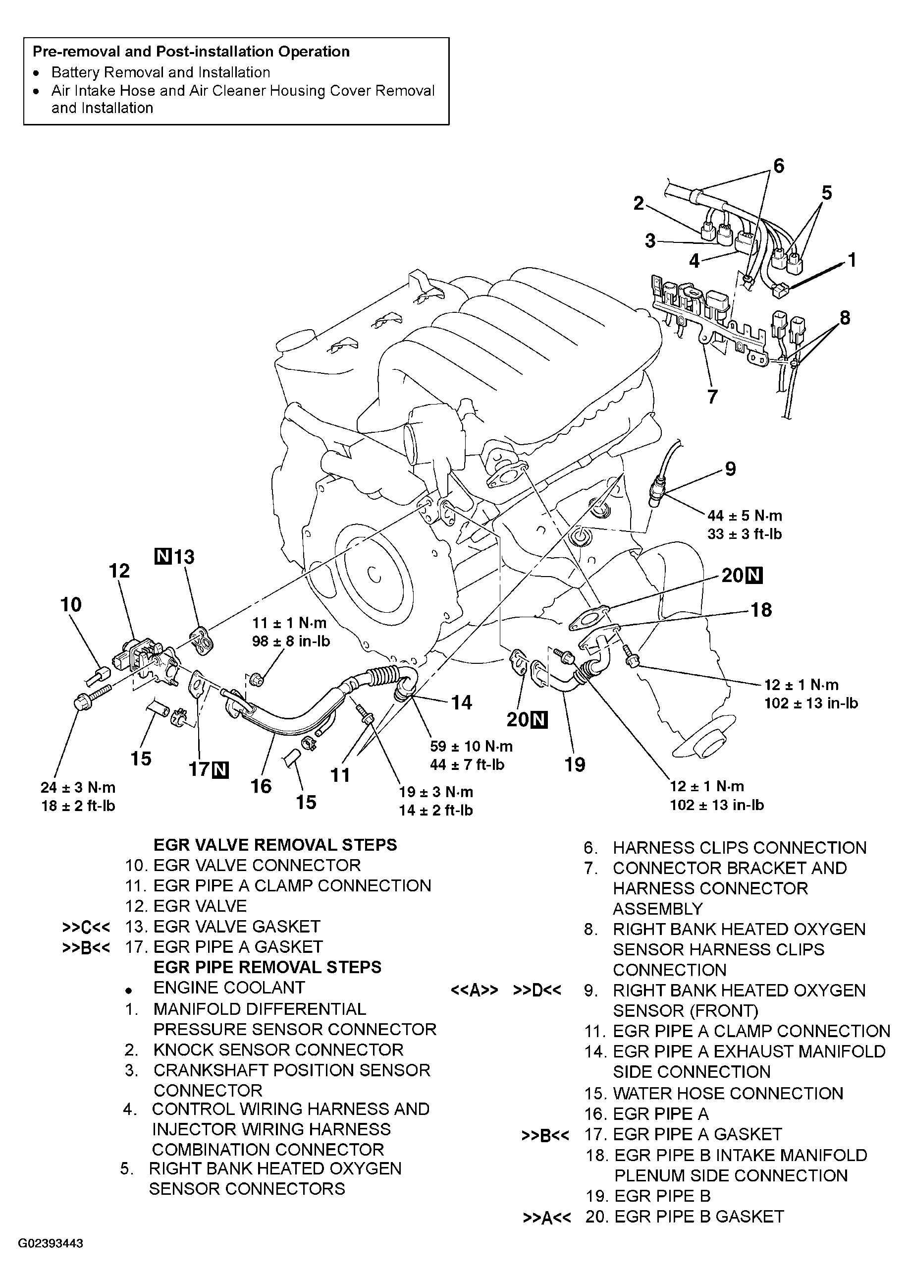 G02393443