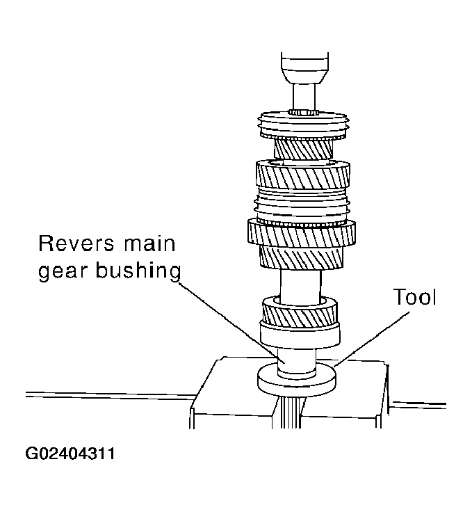 G02404311
