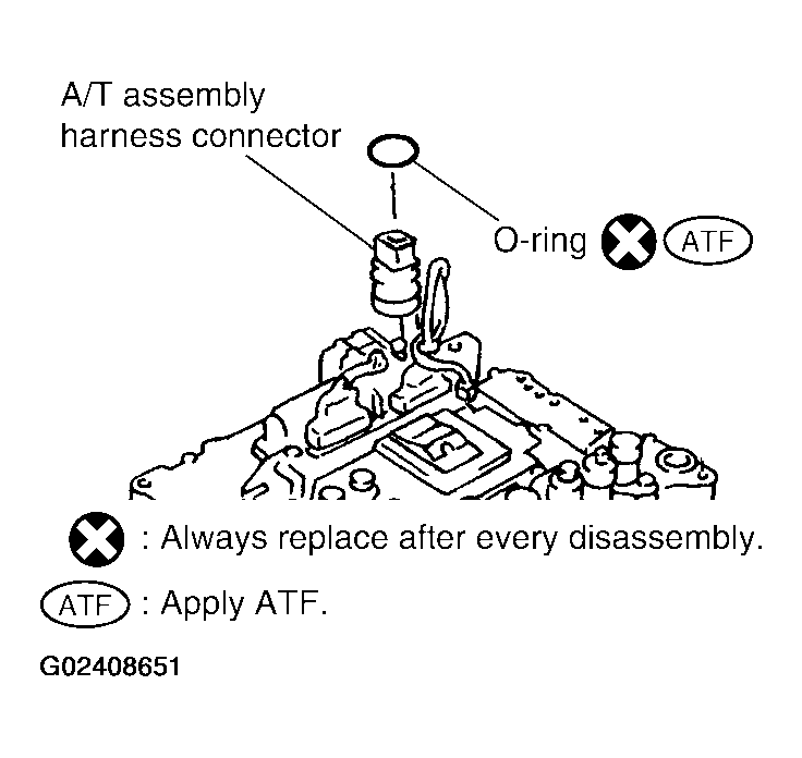 G02408651