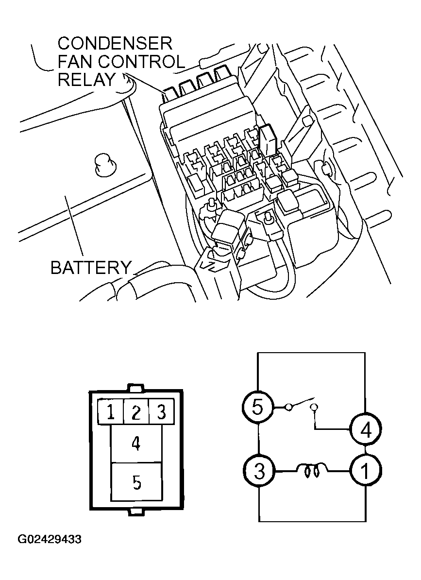G02429433