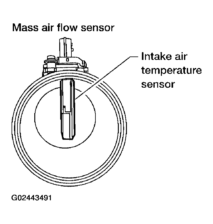 G02443491