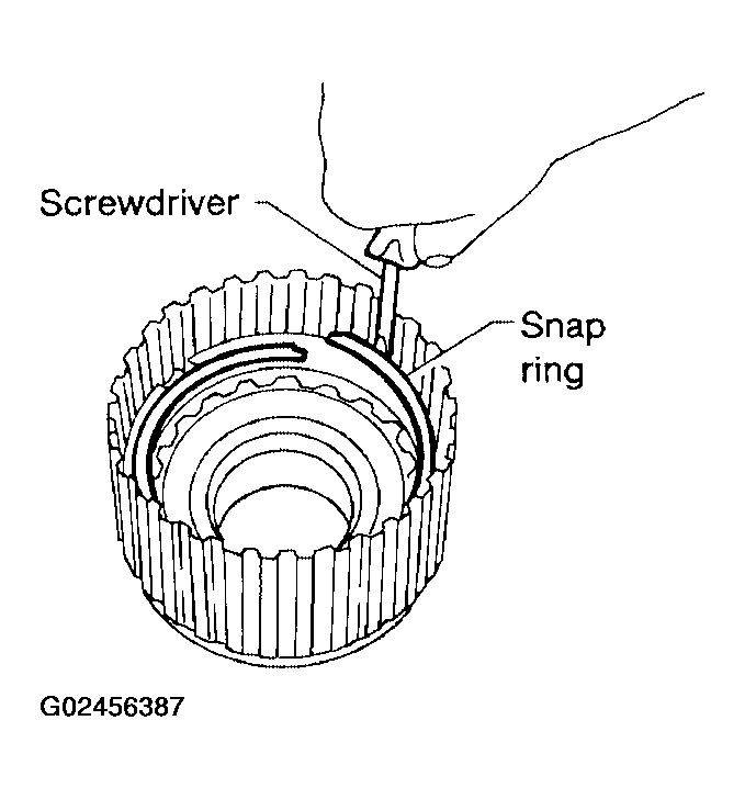 G02456387
